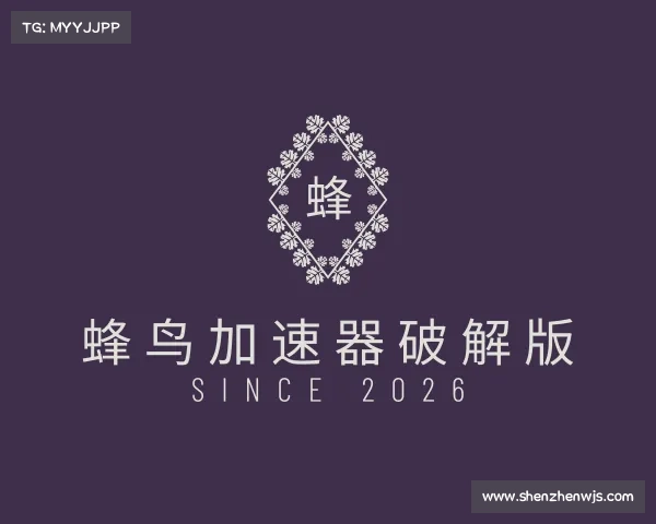 了解蜂鸟加速器破解版